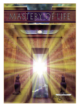 Screen Shot 2019-07-07 at 10.10.19 PM